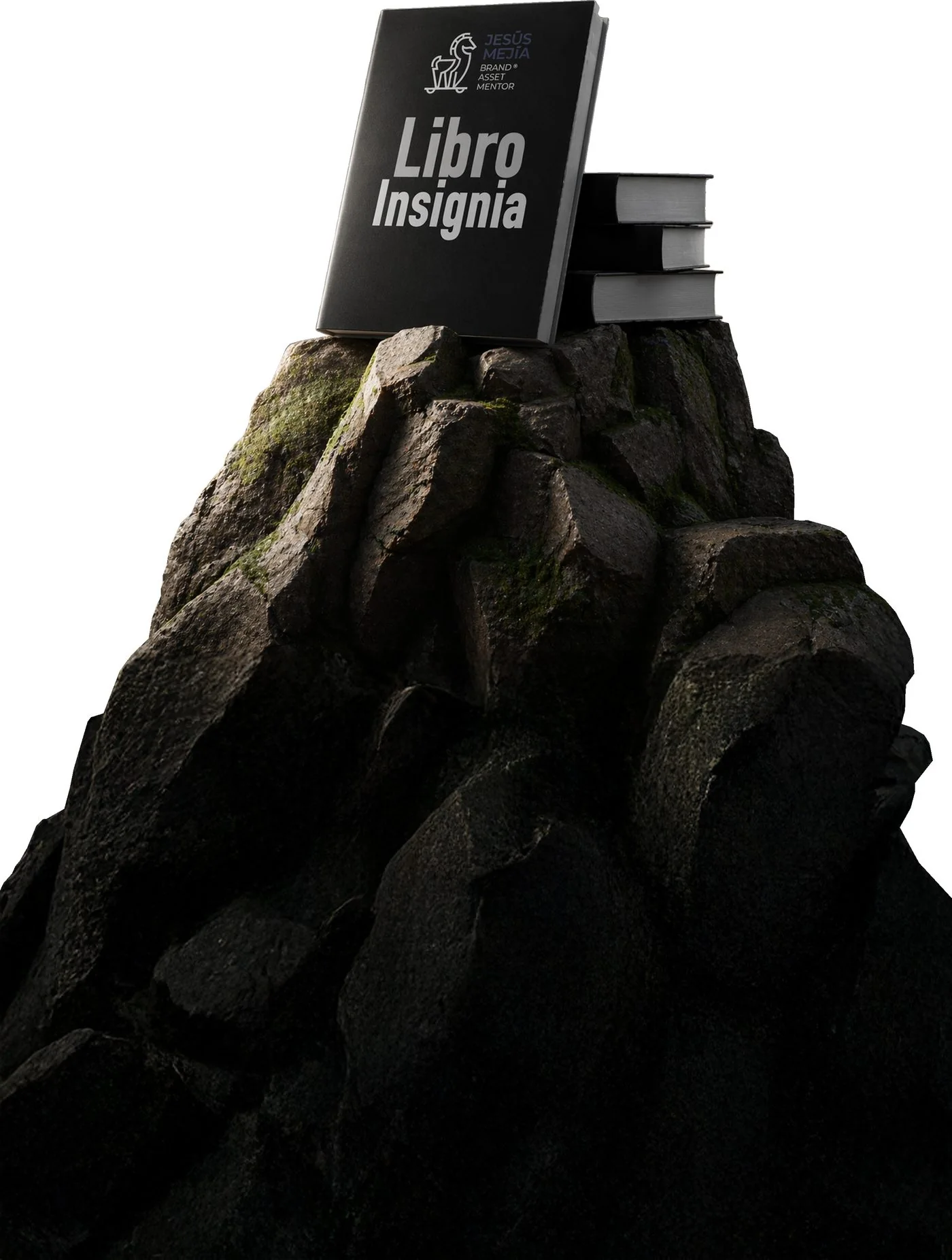 Libro Insignia® apoyado sobre una montaña rocosa, simbolizando un activo de valor permanente